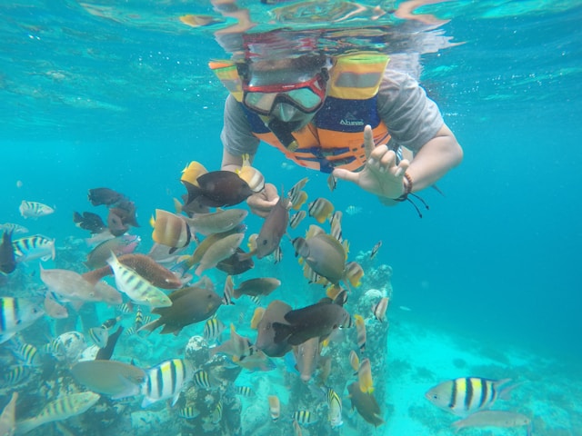 a-man-in-a-diving-mask-is-surrounded-by-fish