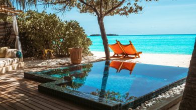 brown-wooden-lounge-chair-beside-swimming-pool